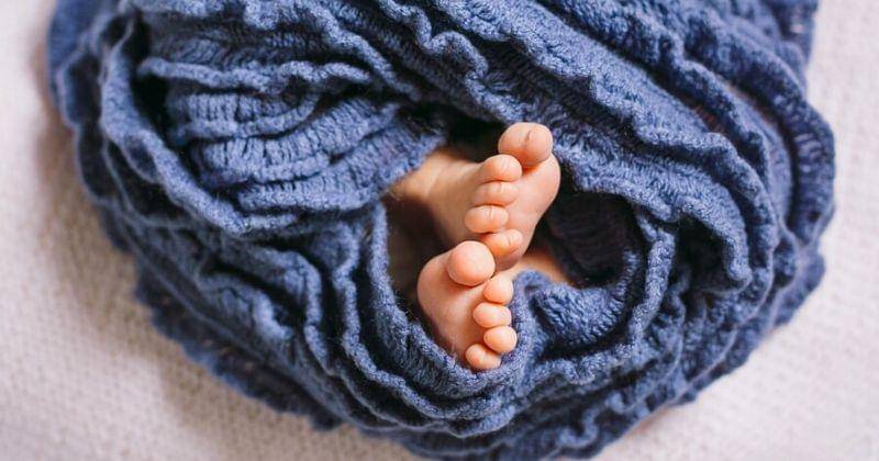 Freepik/freepic.diller